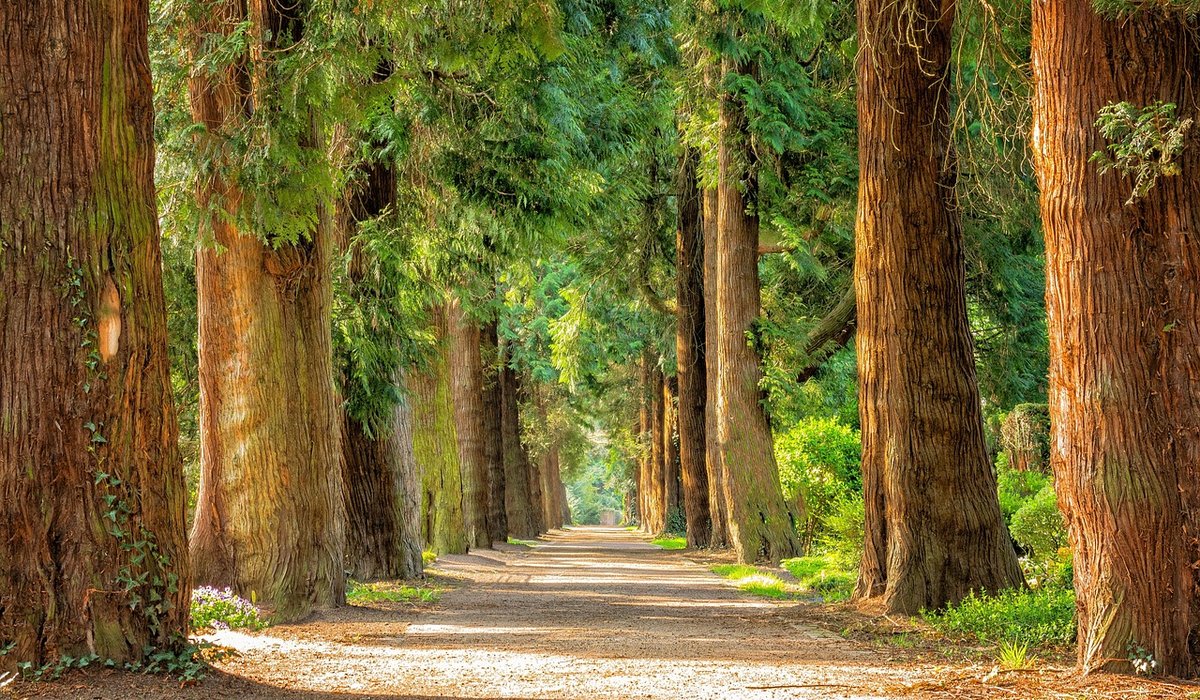 How New Cycle Routes Connect Cheshire Villages And Trafford